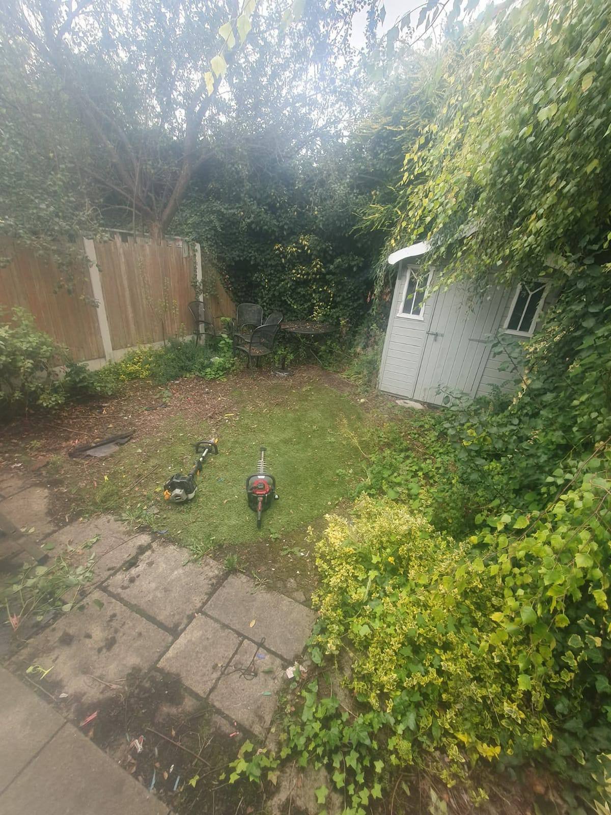 Garden tidy-up · Dublin — before